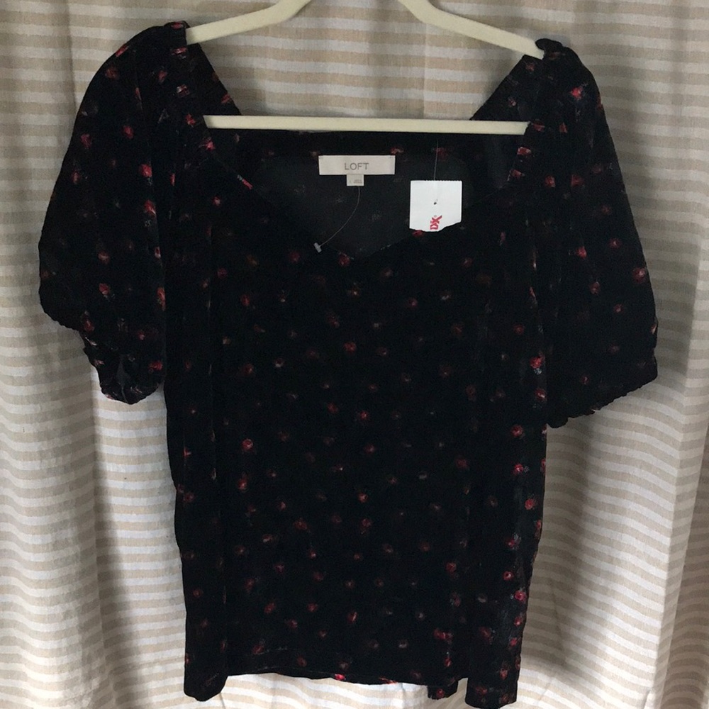 NWT loft Velvet floral top